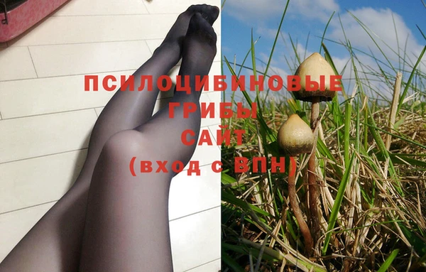 мескалин Новодвинск
