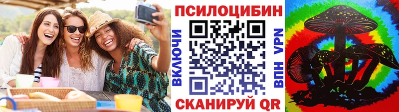 где купить наркоту  Кириллов  Галлюциногенные грибы Psilocybine cubensis 